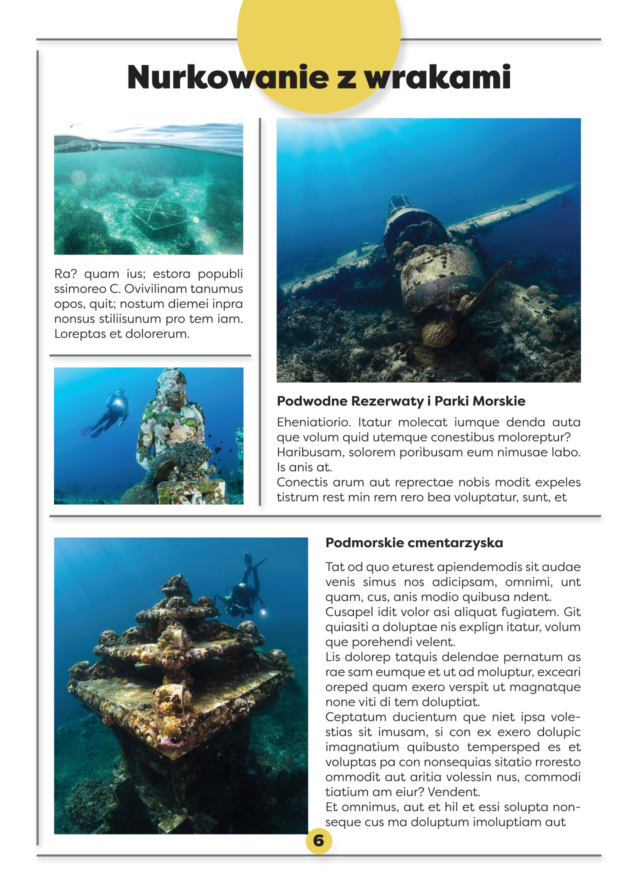katalog